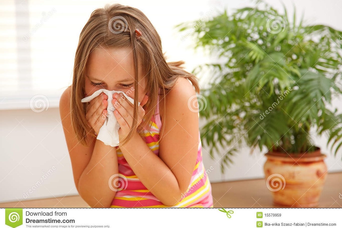 Аллергия на домашнюю пыль