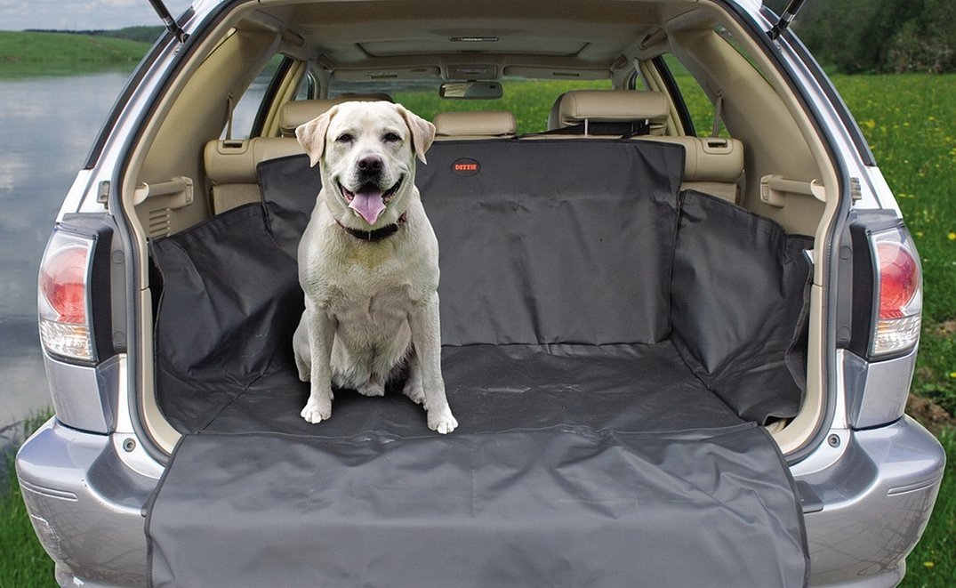 Как перевозятся крупные собаки. Автомобильный гамак для собак. Гамак в багажник для собак в машину. Собака в багажнике. Автогамак для собак в машину в багажник.