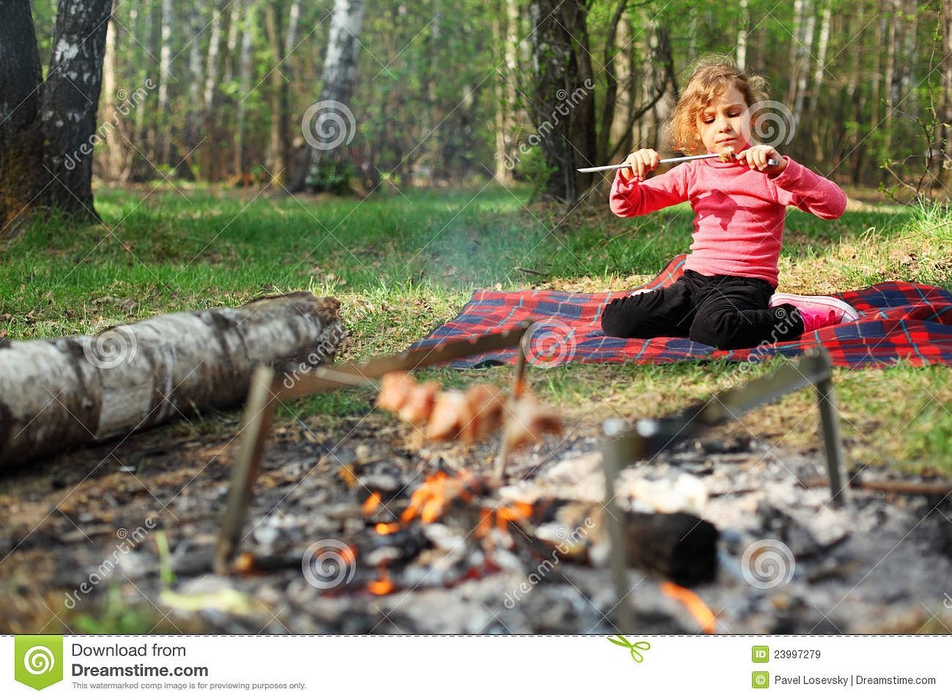 Девушки на пикнике в лесу