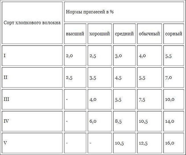 Программа тренировок для девушек