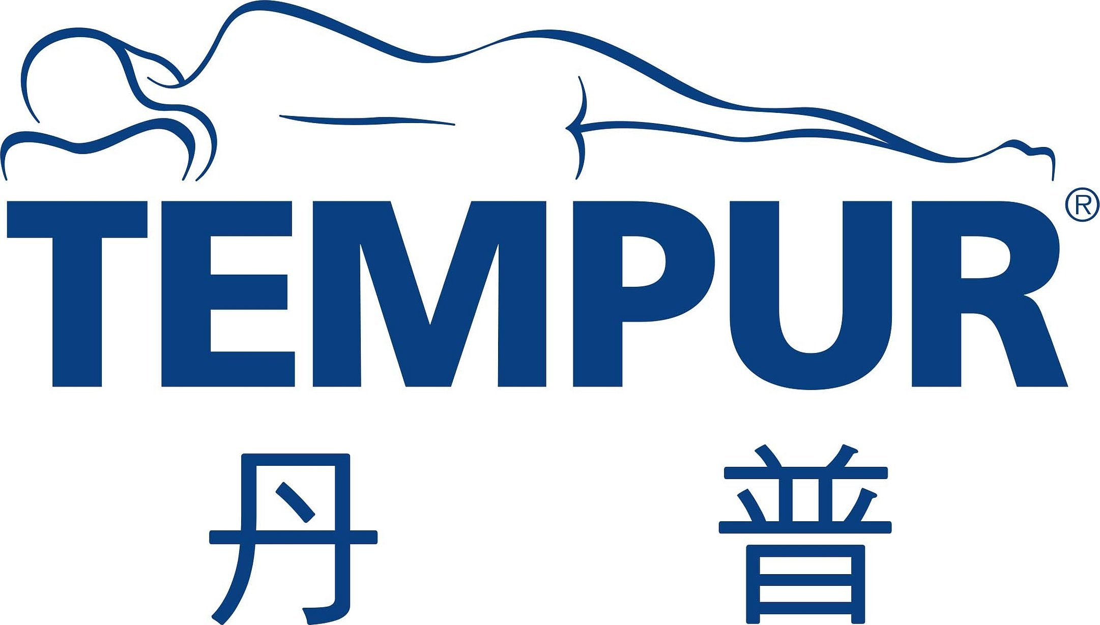 Tempur матрасы логотип