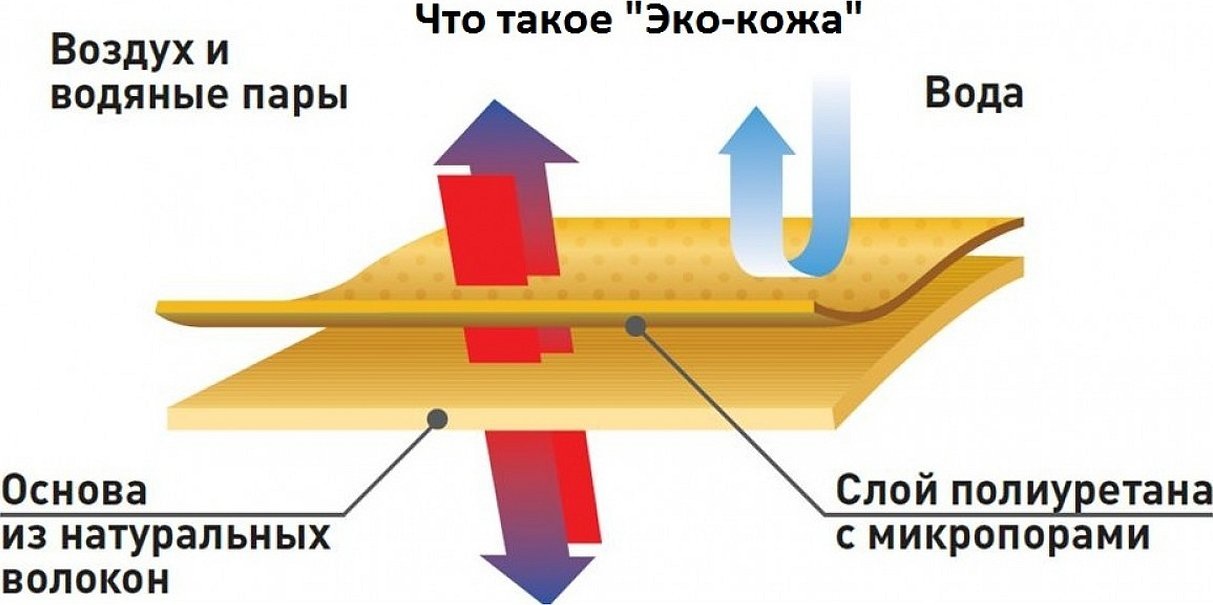 Мембранная одежда