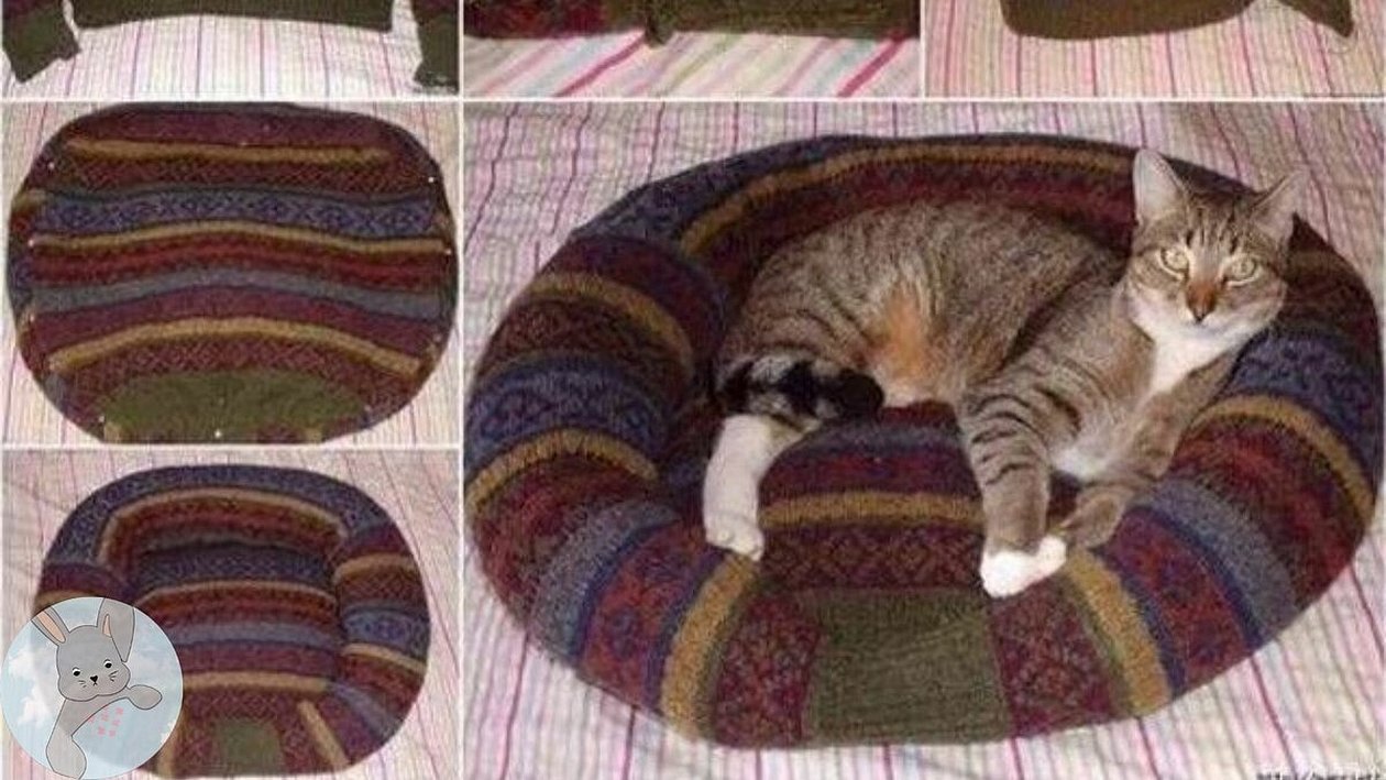 Лежанка для кошки из старого свитера