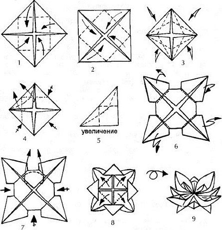 Водяная лилия оригами схема