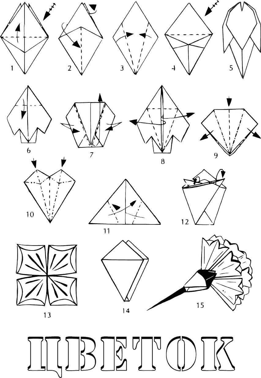 Оригали. Оригами из бумаги цветок гвоздика. Схема оригами гвоздика из бумаги. Цветок гвоздика оригами схема. Гвоздики из бумаги оригами пошагово.