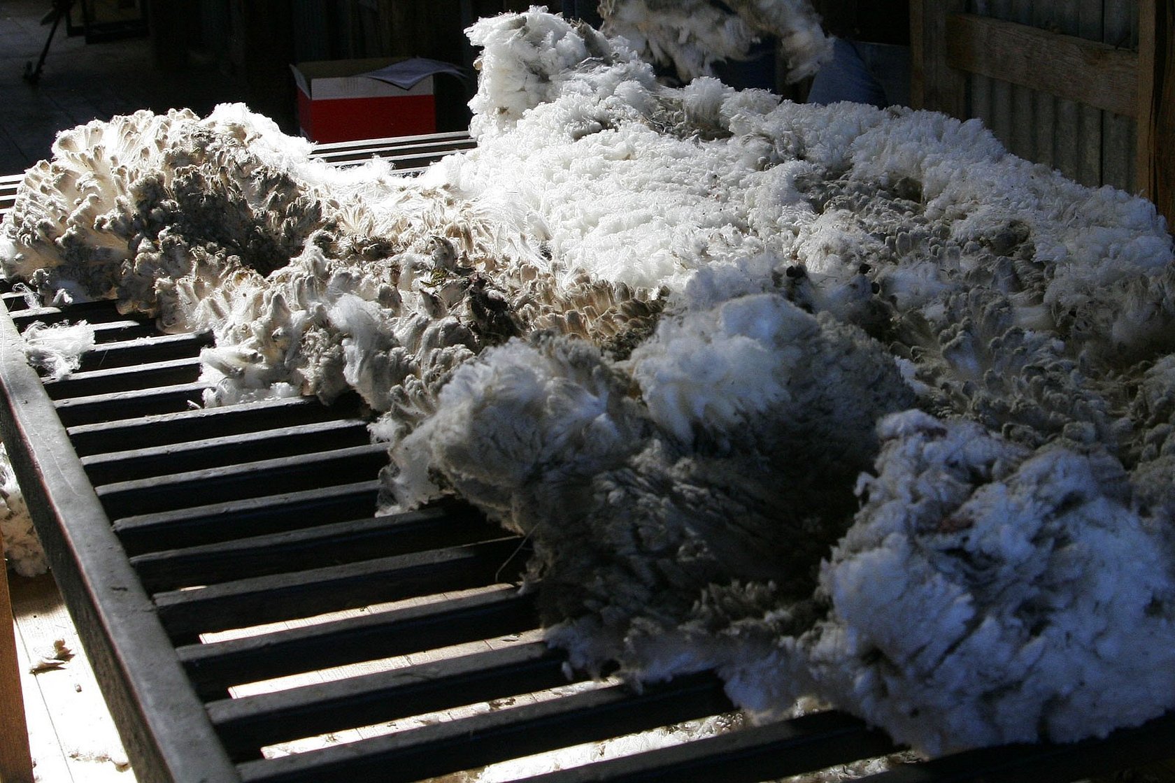 Первичная обработка шерсти овец