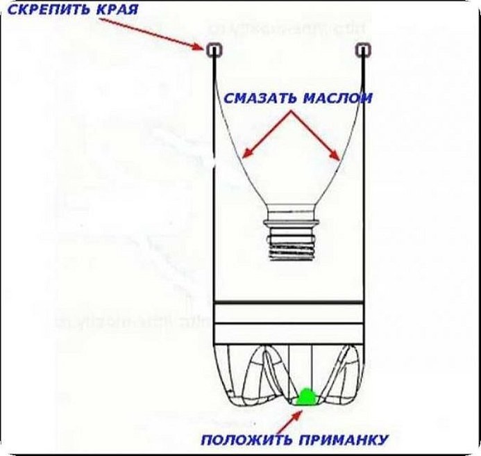 Мышеловка своими руками из пластиковой бутылки