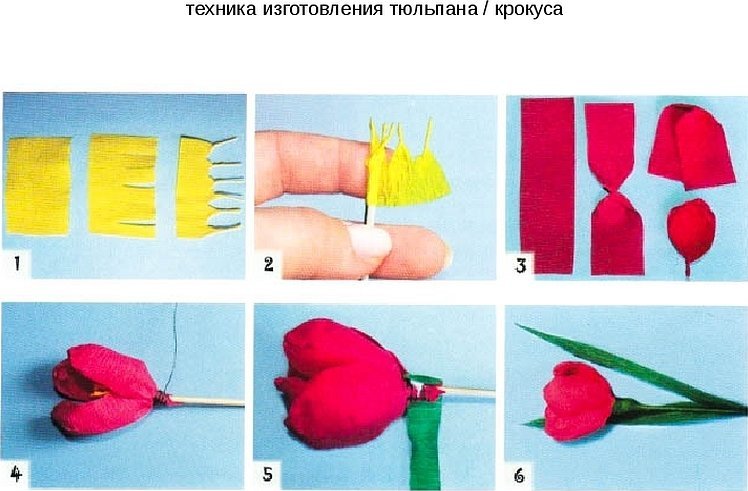 Тюльпаны из гофрированной бумаги пошагово