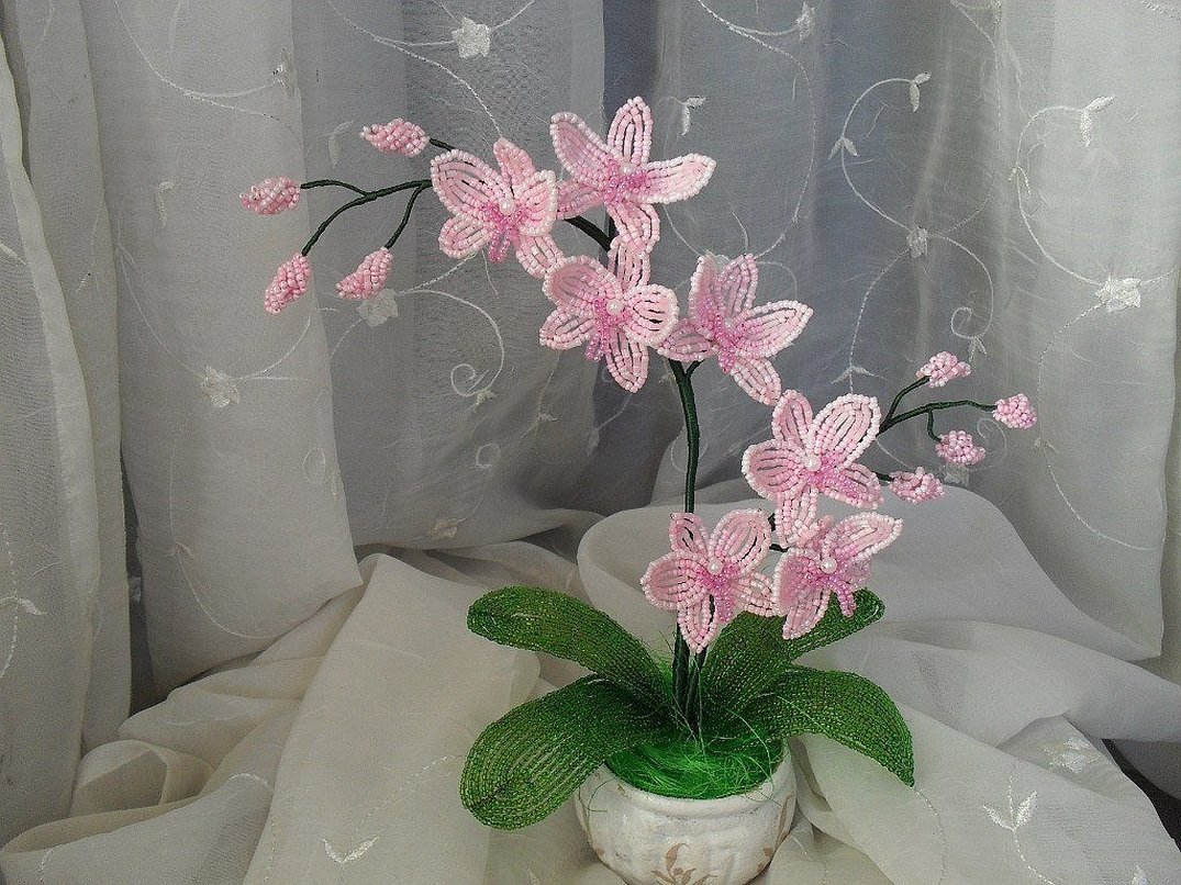 Цветы из бисера орхидея из бисера