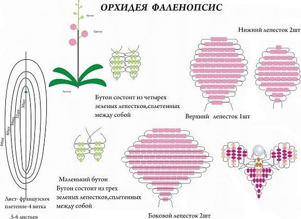 Орхидея Из Бисера Схемы Плетения Фото