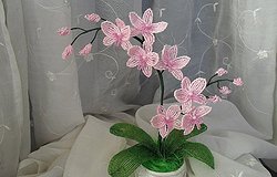 Мастер-класс по изготовлению орхидеи из бисера
