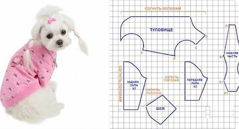 Одежда для собаки своими руками выкройки подробно