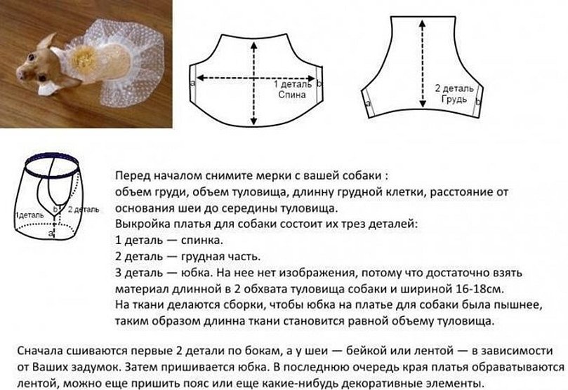 Одежда для собаки своими руками выкройки подробно