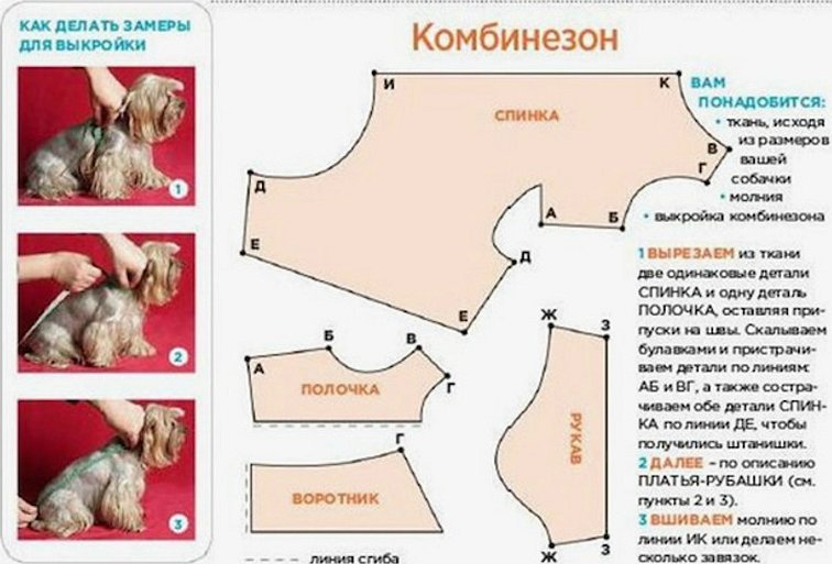 Выкройка комбинезона для собак маленьких пород