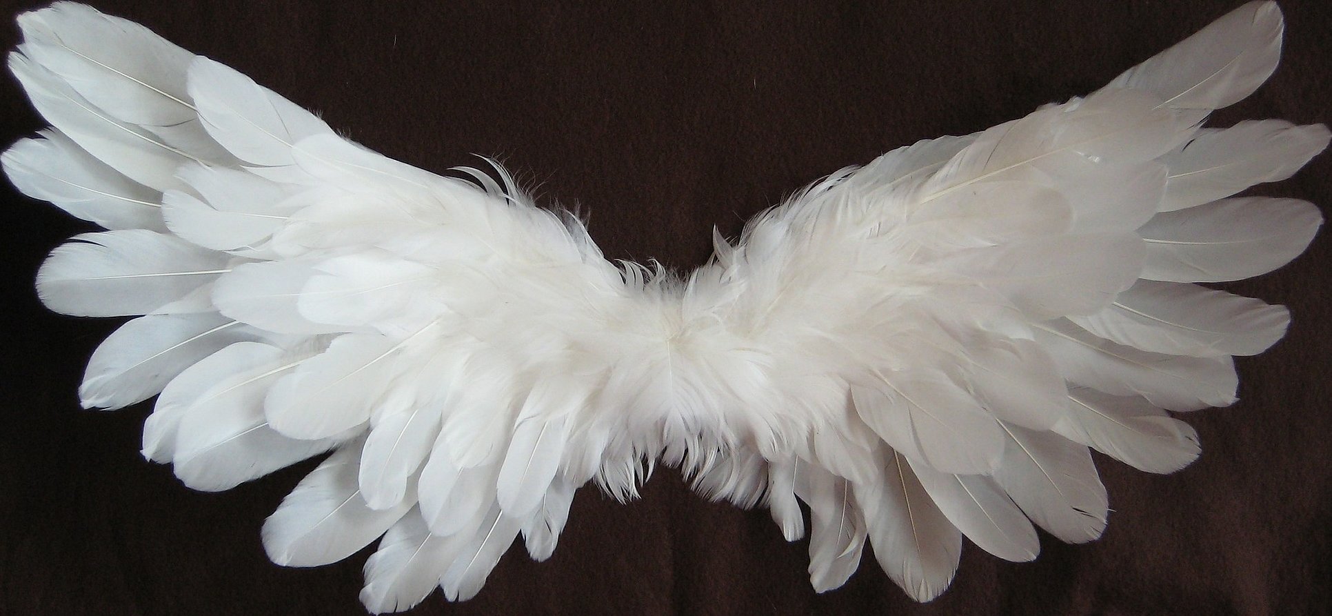 Крылья из перьев