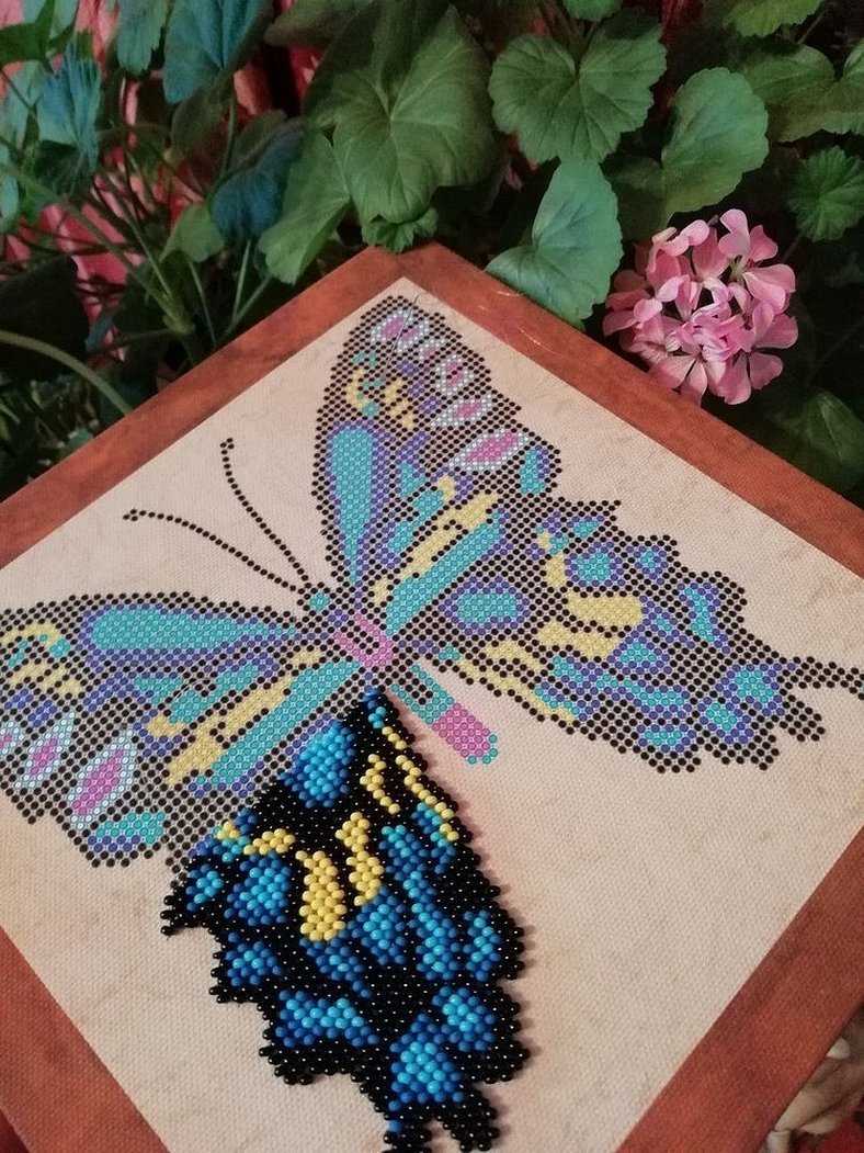 Бабочки на картинах стринг-арт