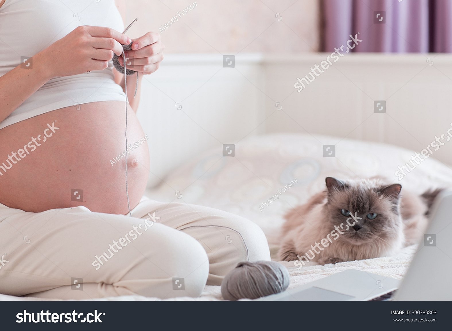 Фотосессия беременной с котом