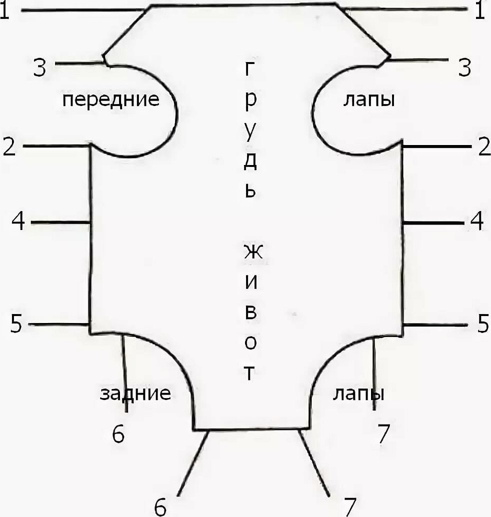 Выкройка попоны для кошки после стерилизации выкройка