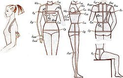 Как правильно снять мерки с женской фигуры: пошаговая инструкция для выкройки
