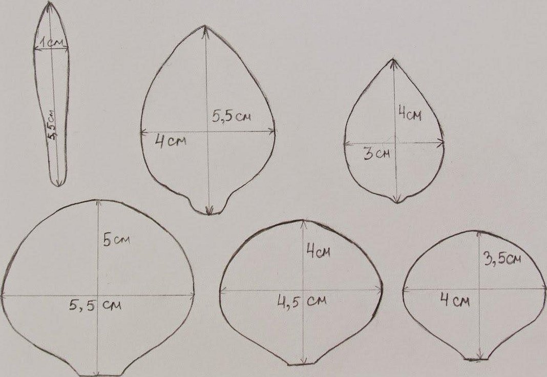 Выкройки цветов из фоамирана