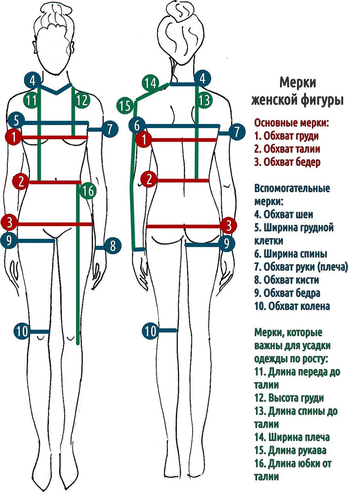 Схема женской фигуры для мерок