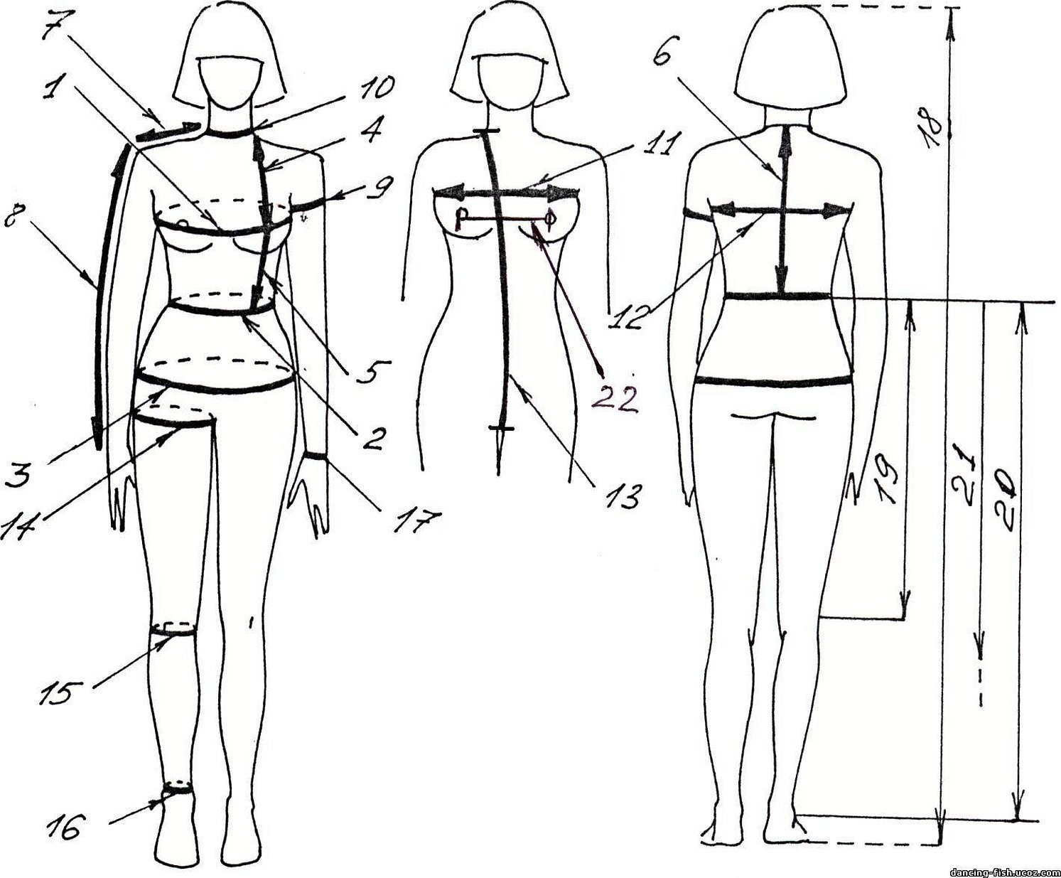 Схема снятия мерок для пошива одежды