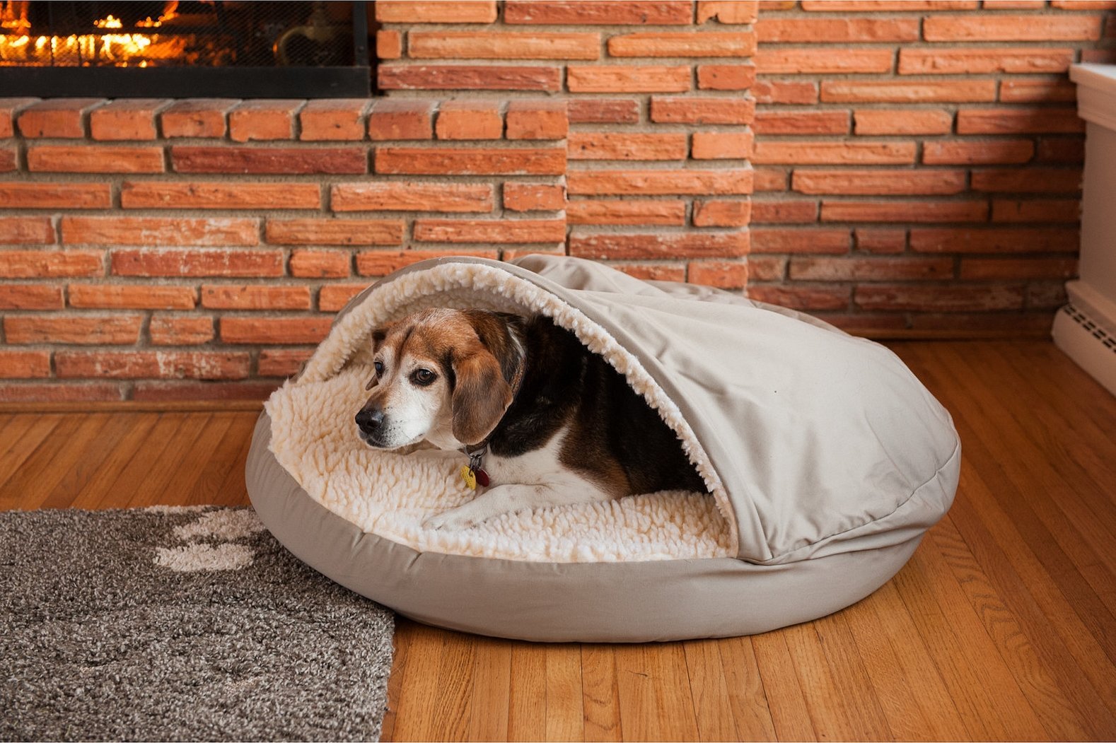 Лежанка pets. Лежак Luxury cozy Dog. Лежак для собак cozy Dog Cave. Спальное место для собаки. Лежанка-домик для большой собаки.