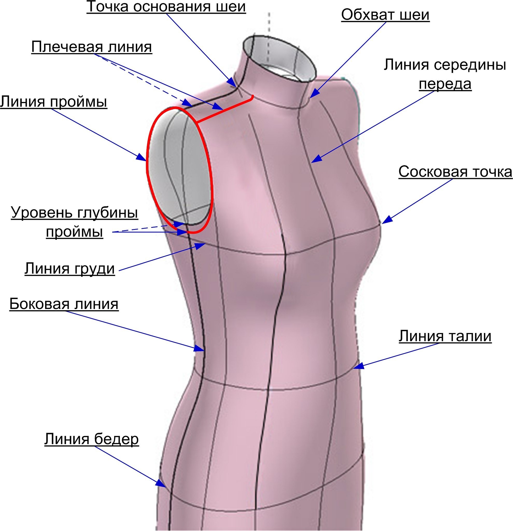 Конструктивные линии плечевой одежды пройма