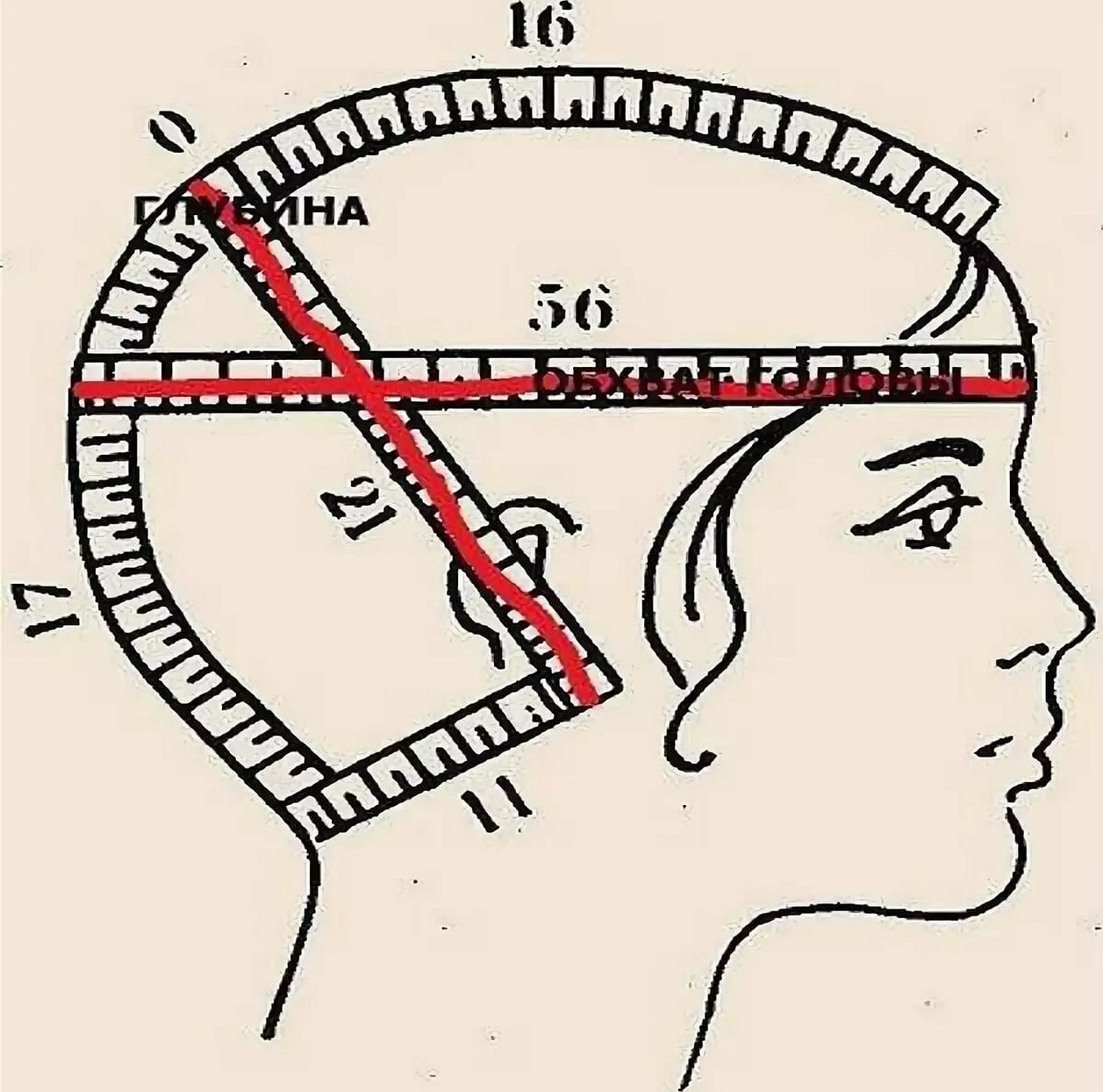 Схема измерений обхвата головы