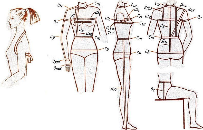 Схема снятия мерок с женской фигуры