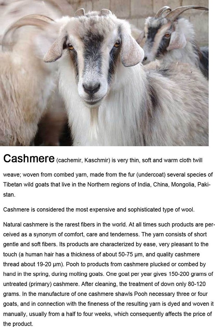 Кашмирская пуховая коза