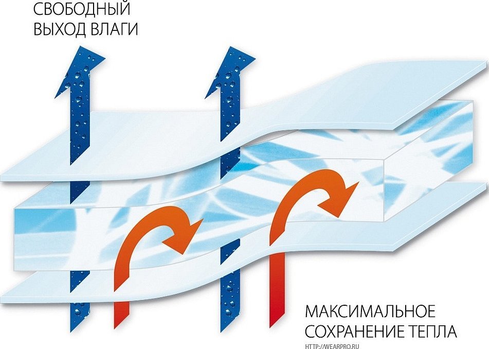 Экономический рост клипарт